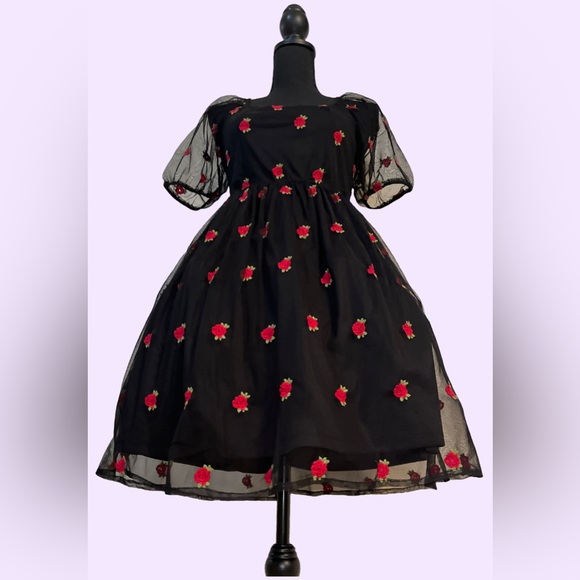 Hot Topic- Cosmic Aura Embroidered Rose Mesh Mini Dress - Picture 4 of 8